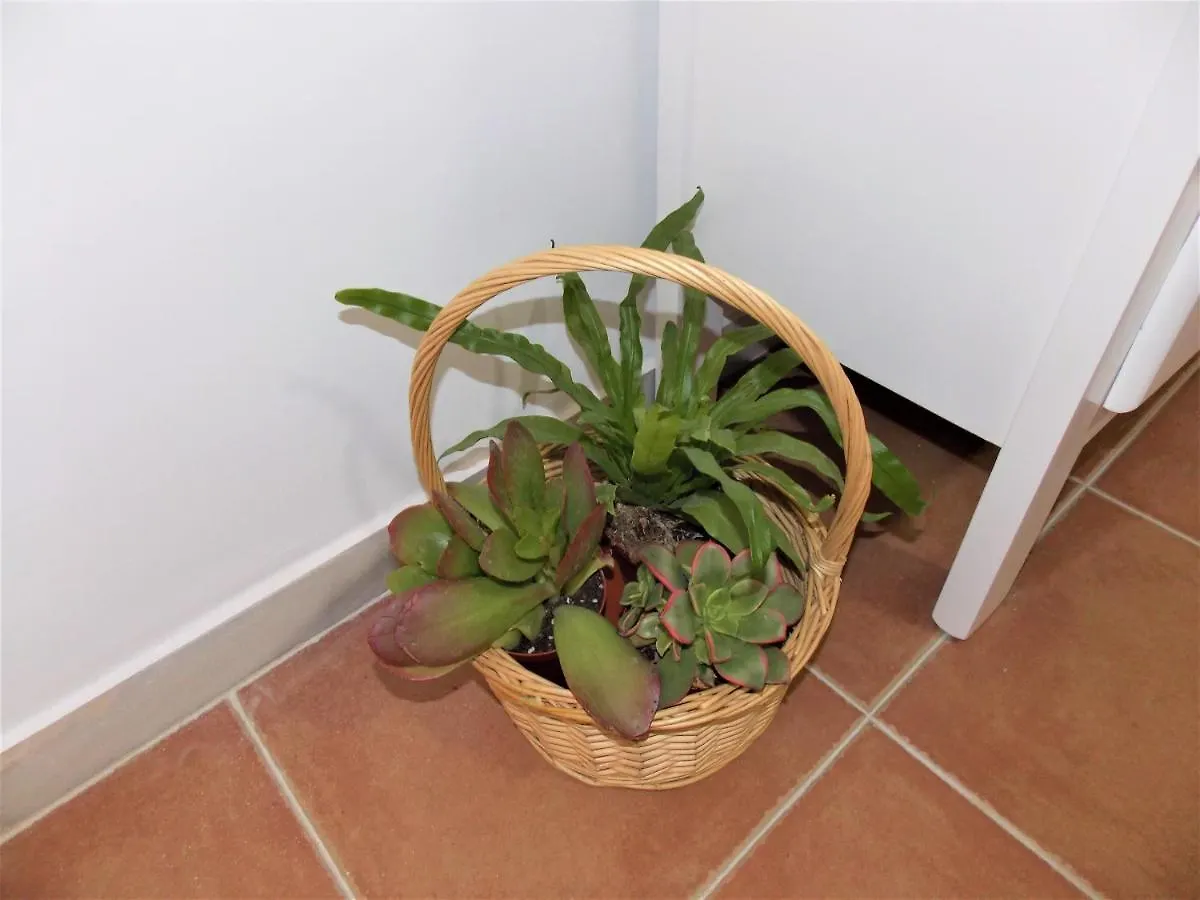 Los Girasoles Apartamento Sanlúcar de Barrameda